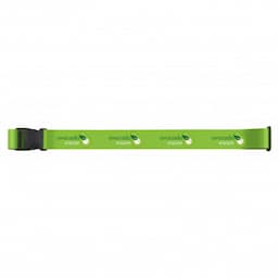 Bright Green