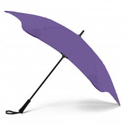 Violet Purple
