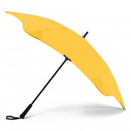 Citrus Yellow