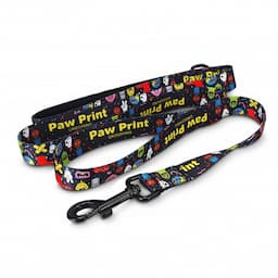 Dog Leash