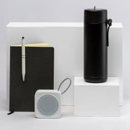 The Daily Setup - image 7