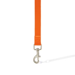 Printed Dog Lead - image 12