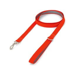 Printed Dog Lead - image 3