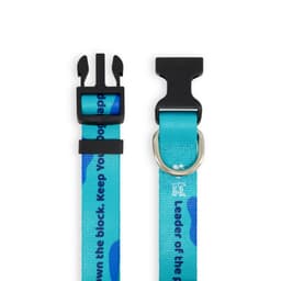 Sublimated Dog Collar - image 1
