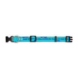 Sublimated Dog Collar - image 3