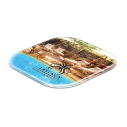 Clarion Coaster - image 1