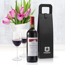 Gibbston Wine Carrier - image 2