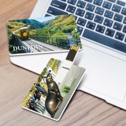 Credit Card Flash Drive 8GB - image 1