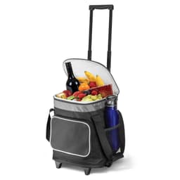 Glacier Cooler Trolley - image 1