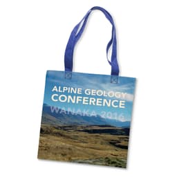 Rembrandt Cotton Tote Bag - image 3