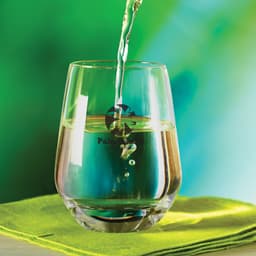 Vino Stemless Glass - image 3