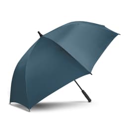 Patronus Umbrella - image 1