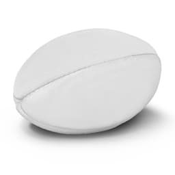 Rugby Ball Mini - image 1