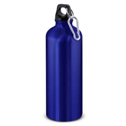 Intrepid Bottle - 800ml - image 1