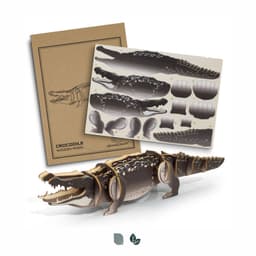 BRANDCRAFT Crocodile Wooden Model - image 5