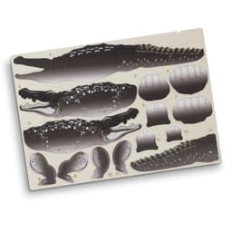 BRANDCRAFT Crocodile Wooden Model - image 3