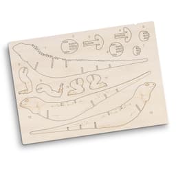 BRANDCRAFT Tuatara Wooden Model - image 9