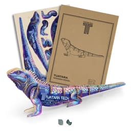 BRANDCRAFT Tuatara Wooden Model - image 2