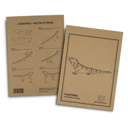 BRANDCRAFT Tuatara Wooden Model - image 2