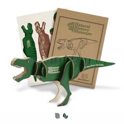 BRANDCRAFT Tyrannosaurus Rex Wooden Model - image 4