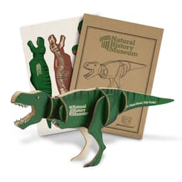 BRANDCRAFT Tyrannosaurus Rex Wooden Model - image 5