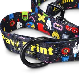 Amigo Dog Leash - image 3