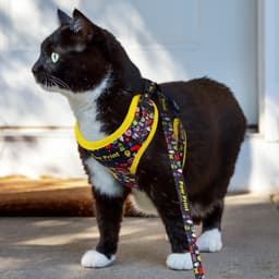 Amigo Pet Harness - image 4