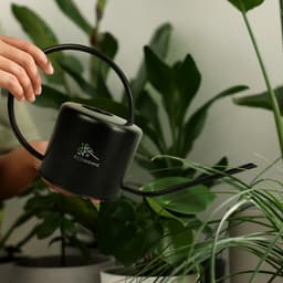 Keepsake Watering Can - image 4