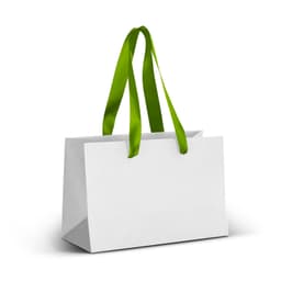 Small Ribbon Handle Paper Bag - Full Colour - image 1