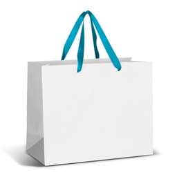 Large Ribbon Handle Paper Bag - Full Colour - image 3