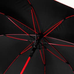 Monsoon Umbrella - image 2