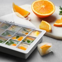 Blizzard Ice Tray with Lid - image 3