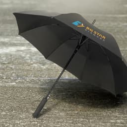 Cirrus Umbrella - image 4
